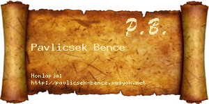 Pavlicsek Bence névjegykártya